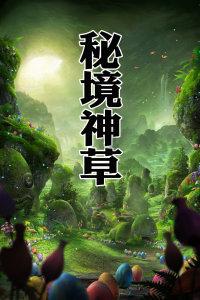 学习插花艺术