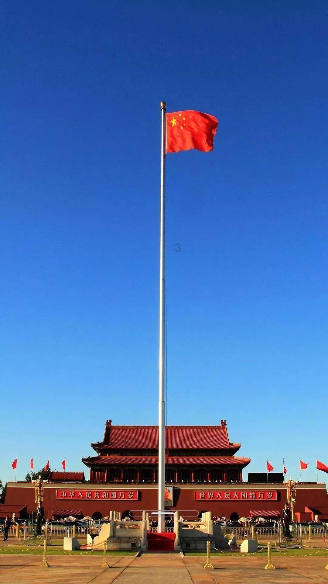 凤凰不好惹